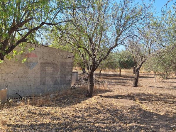 terreno agricolo in vendita a Noto