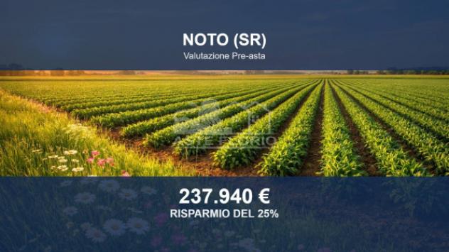 terreno agricolo in vendita a Noto