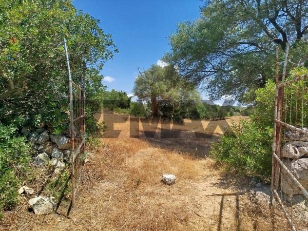 terreno agricolo in vendita a Noto