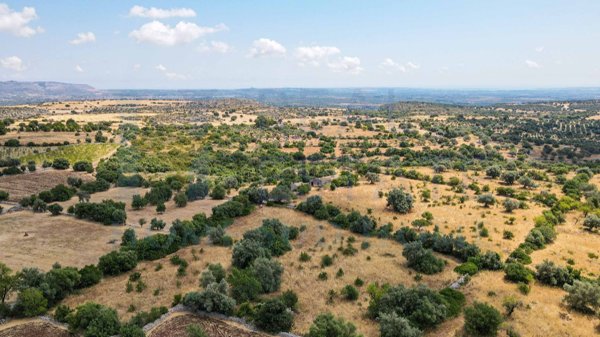 terreno in vendita a Noto