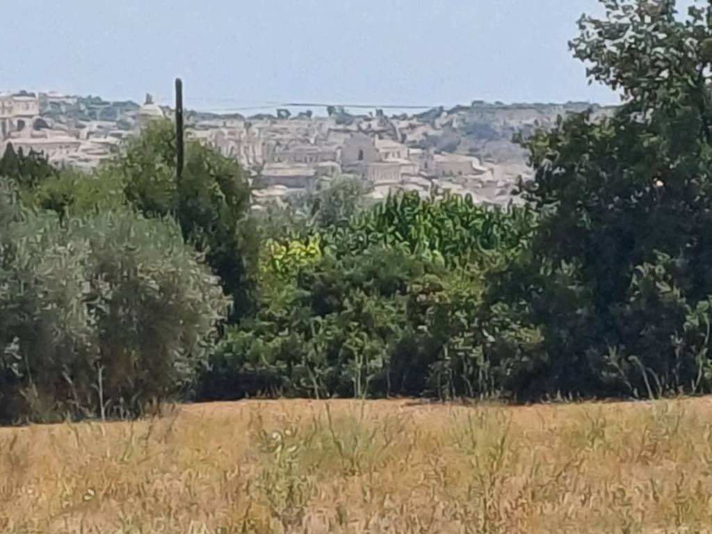 terreno agricolo in vendita a Noto in zona Madonna Marina