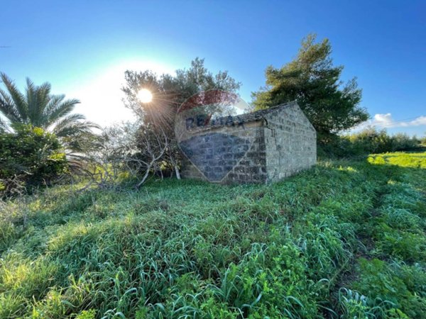 terreno agricolo in vendita a Noto