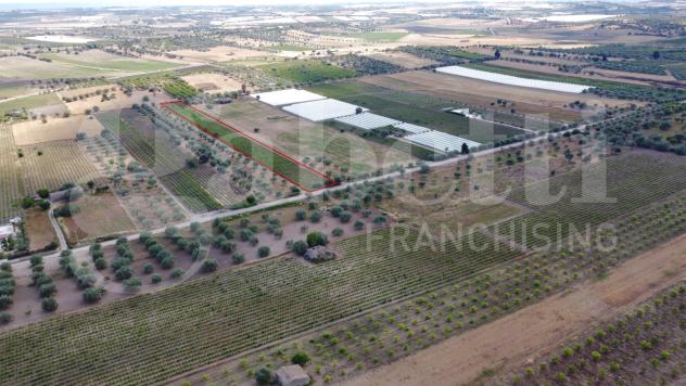 terreno agricolo in vendita a Noto