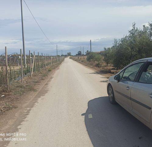 terreno agricolo in vendita a Noto