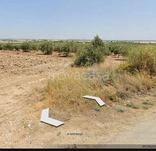 terreno in vendita a Noto