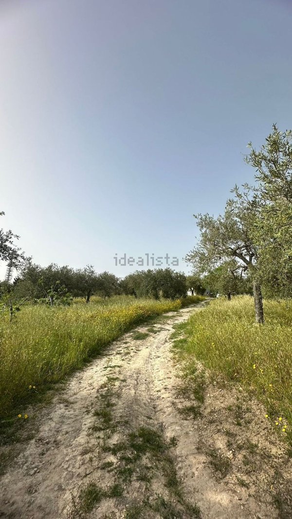terreno in vendita a Noto