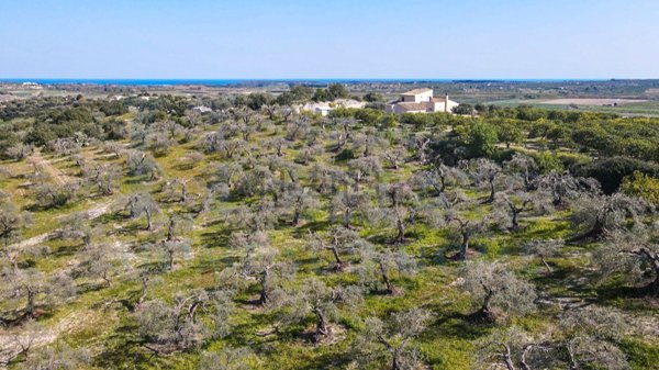 terreno in vendita a Noto