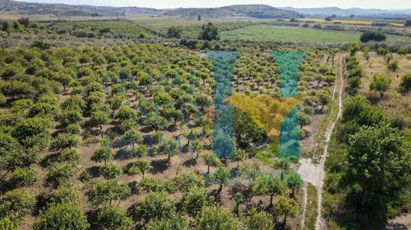 terreno in vendita a Noto