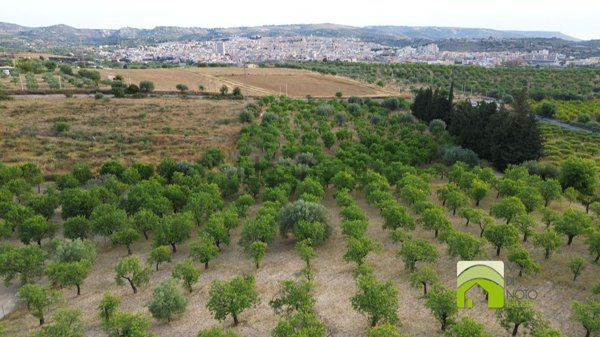 terreno in vendita a Noto