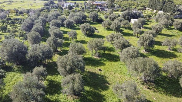 terreno in vendita a Noto in zona Falconara