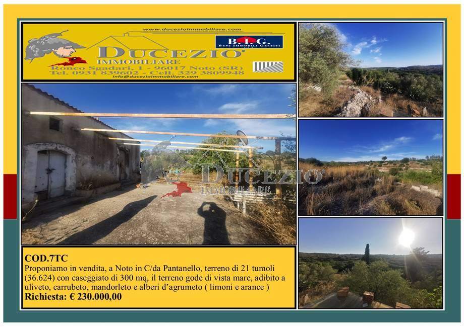 terreno in vendita a Noto