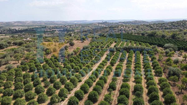 terreno in vendita a Noto