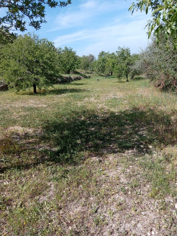 terreno in vendita a Noto