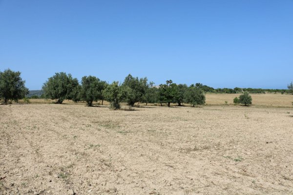 terreno in vendita a Noto