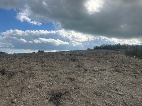 terreno in vendita a Noto