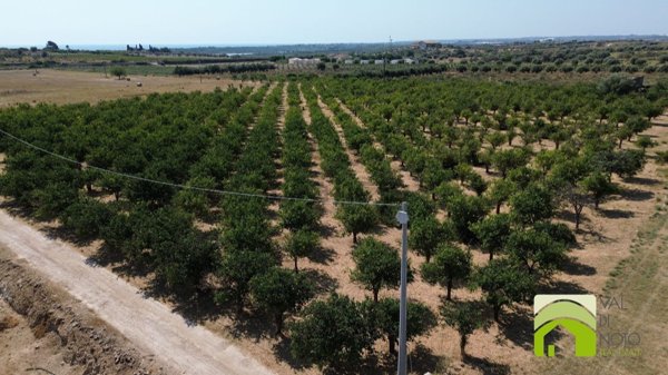 terreno in vendita a Noto in zona Vendicari