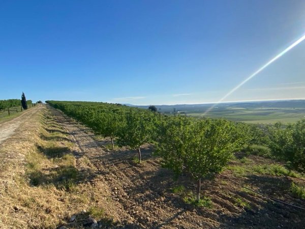 terreno in vendita a Noto
