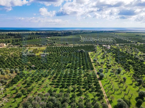 terreno in vendita a Noto