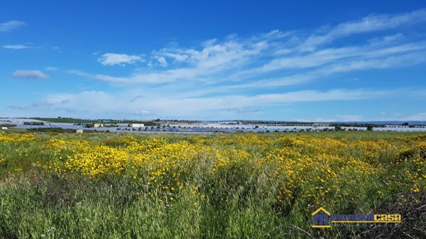 terreno in vendita a Noto
