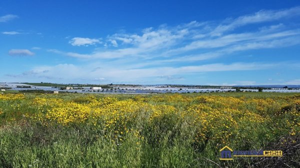 terreno in vendita a Noto