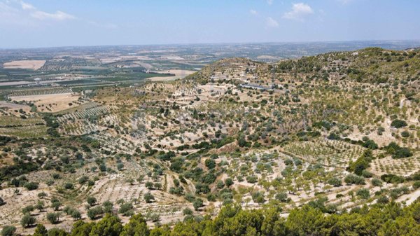 terreno in vendita a Noto