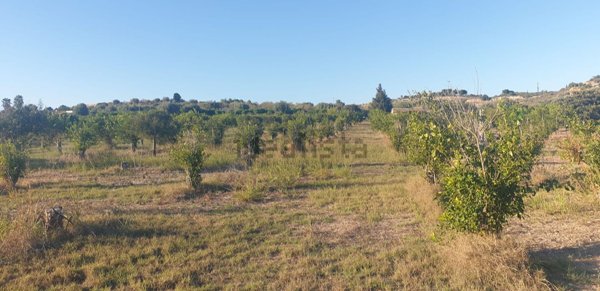 terreno in vendita a Noto in zona Madonna Marina