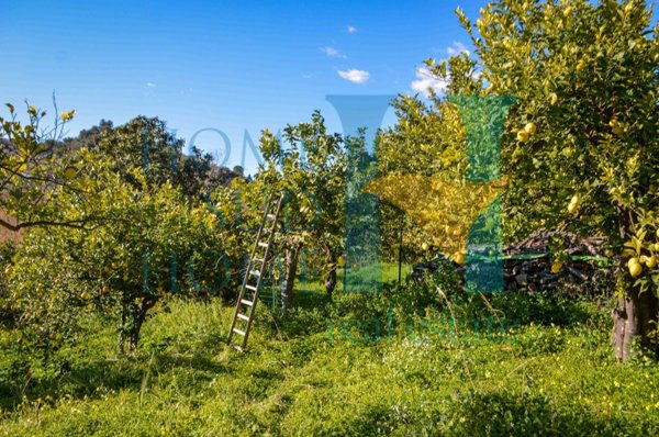 terreno in vendita a Noto