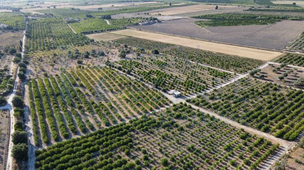 terreno in vendita a Noto