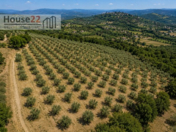 casa indipendente in vendita a Noto