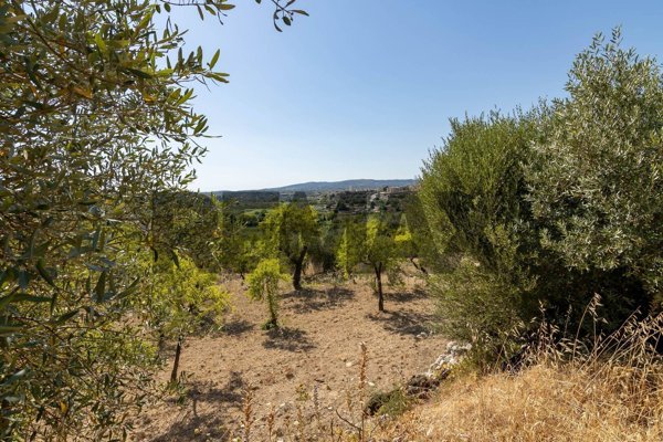 terreno in vendita a Noto