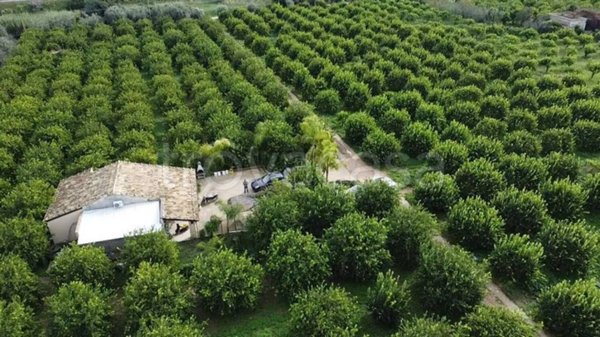 casa indipendente in vendita a Noto in zona Vendicari