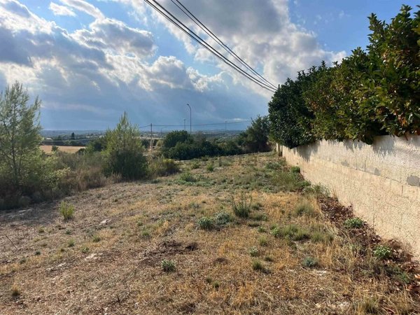 terreno in vendita a Noto in zona San Corrado di Fuori