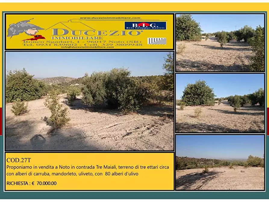 terreno in vendita a Noto