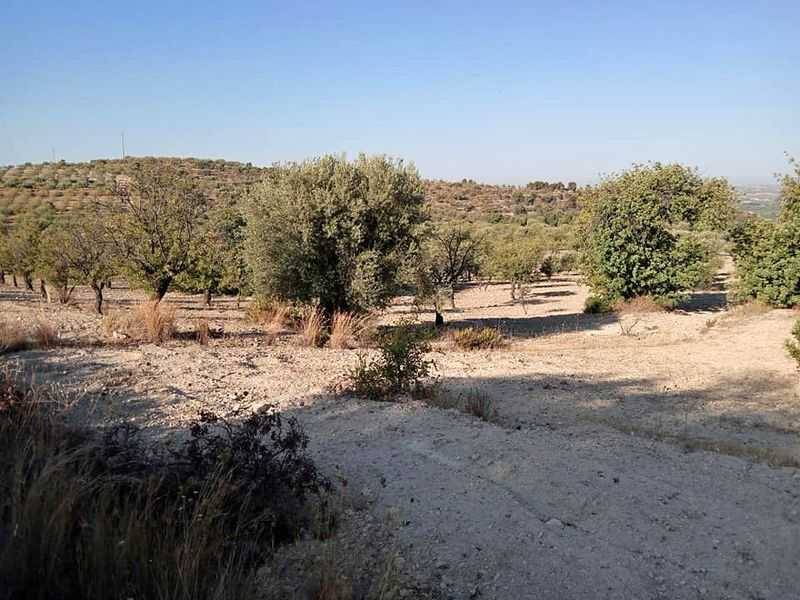 terreno in vendita a Noto