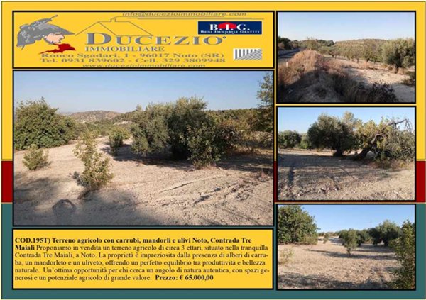 terreno in vendita a Noto