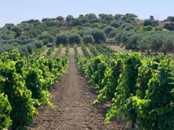 terreno in vendita a Noto