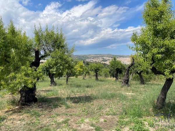 terreno in vendita a Noto in zona Madonna Marina
