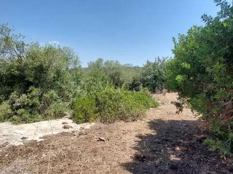terreno in vendita a Noto