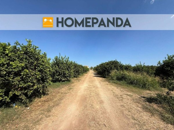 terreno agricolo in vendita a Noto in zona Lido di Noto