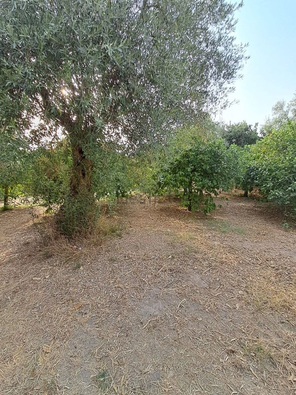 terreno in vendita a Noto
