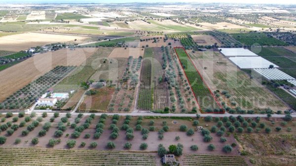 terreno in vendita a Noto