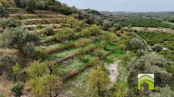 terreno agricolo in vendita a Noto