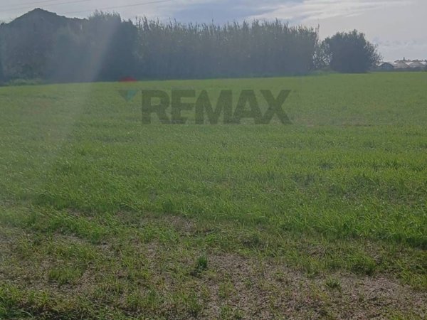 terreno agricolo in vendita a Noto
