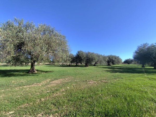 casa indipendente in vendita a Noto