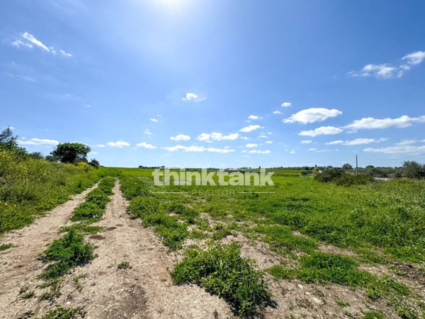 terreno agricolo in vendita a Noto in zona San Lorenzo