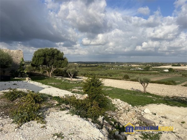 terreno agricolo in vendita a Noto