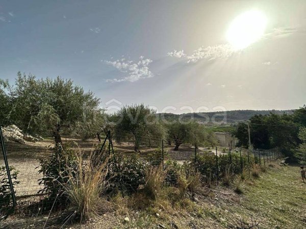 terreno agricolo in vendita a Noto in zona Madonna Marina