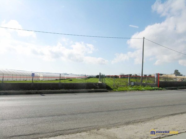 terreno agricolo in vendita a Pachino