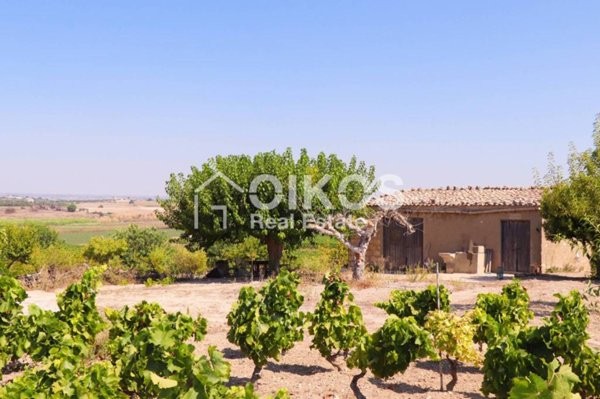 terreno agricolo in vendita a Pachino in zona Marzamemi