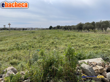 terreno agricolo in vendita a Pachino